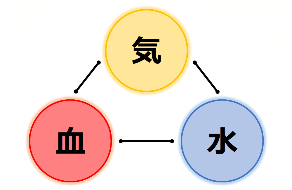 ふじた医院の漢方薬治療の特徴